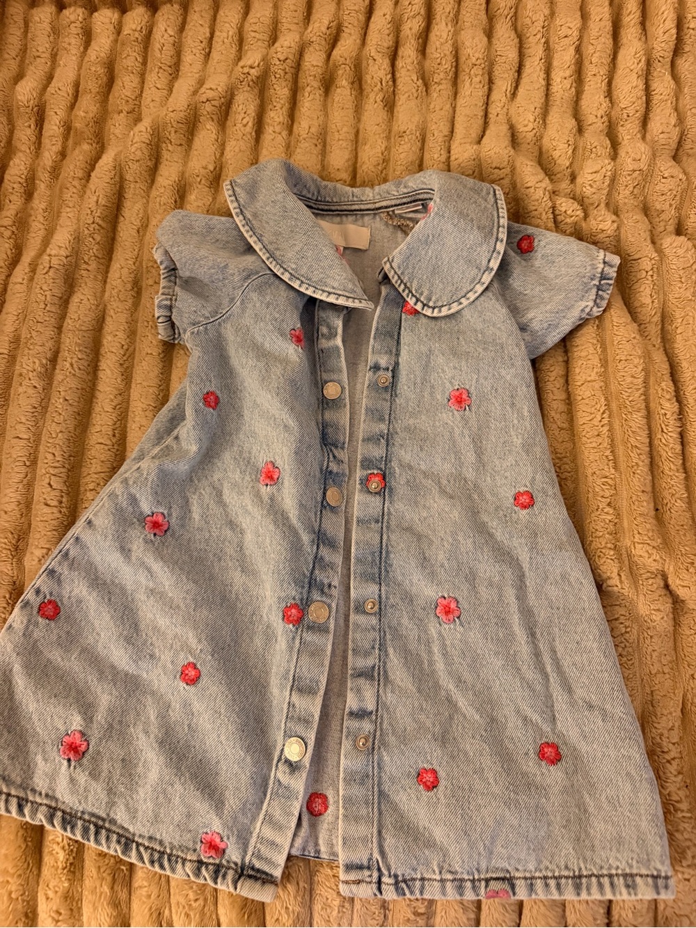 Zara Light Blue Denim Dress with Pink Floral Embroidery
